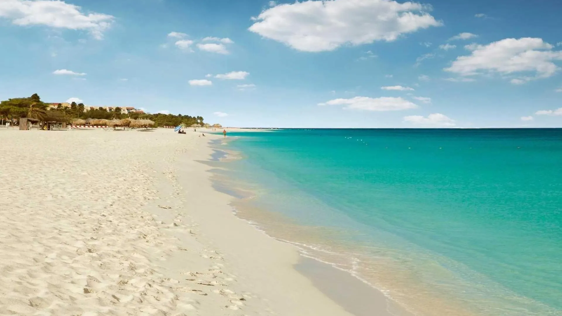 Beachfront - Eagle Beach - Sapphire 2Br Condo E322 Palm Beach Aruba