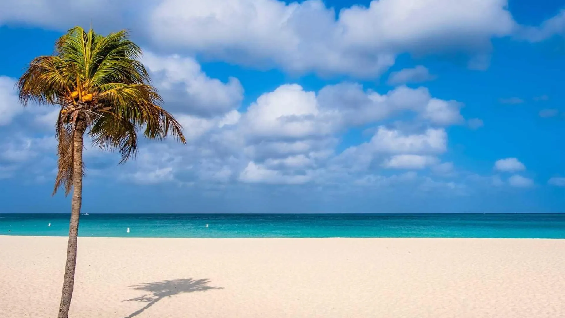Beachfront - Eagle Beach - Sapphire 2Br Condo E322 Palm Beach 0*,  Aruba