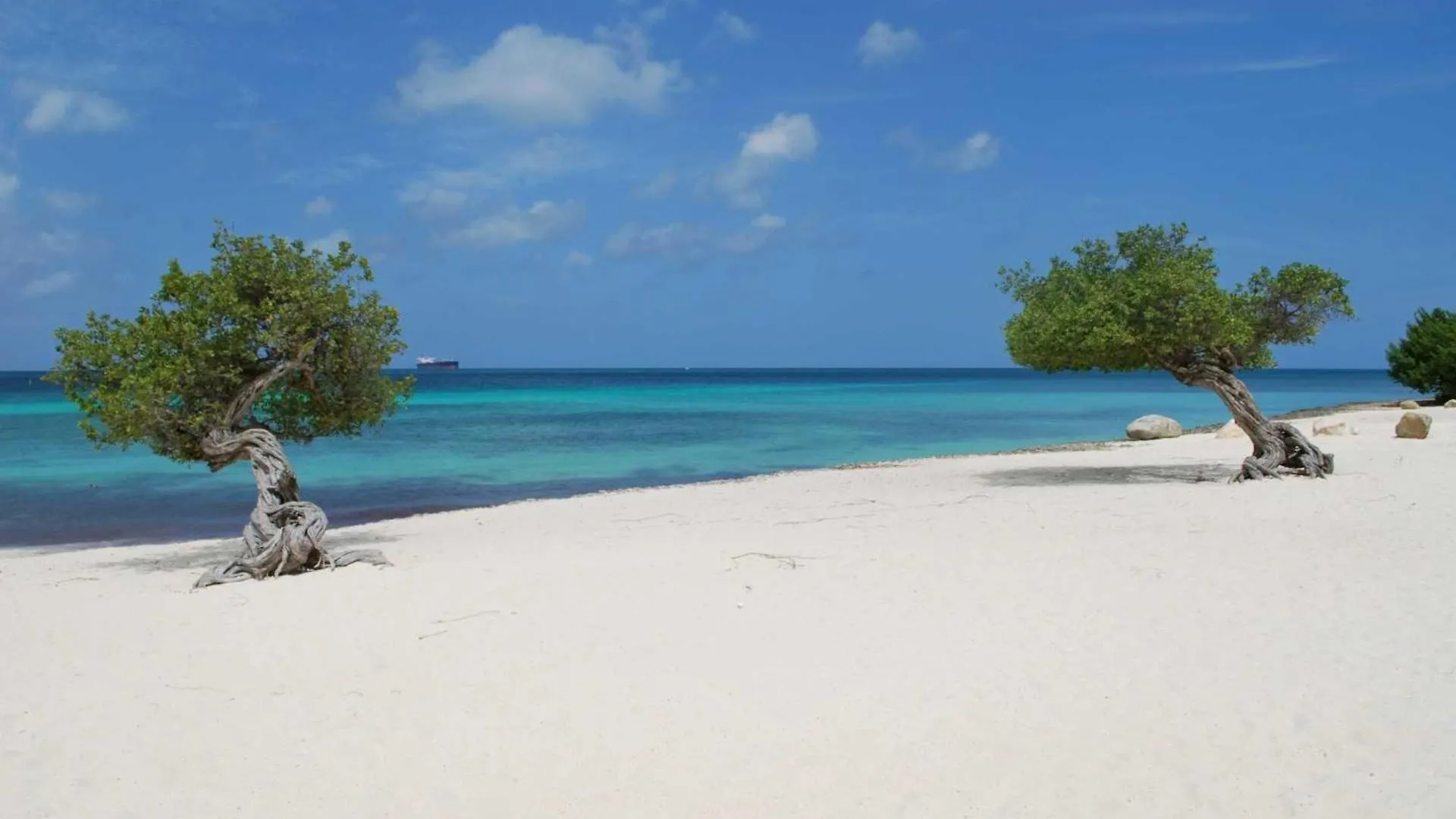 Beachfront - Eagle Beach - Sapphire 2Br Condo E322 Palm Beach Hébergement de vacances