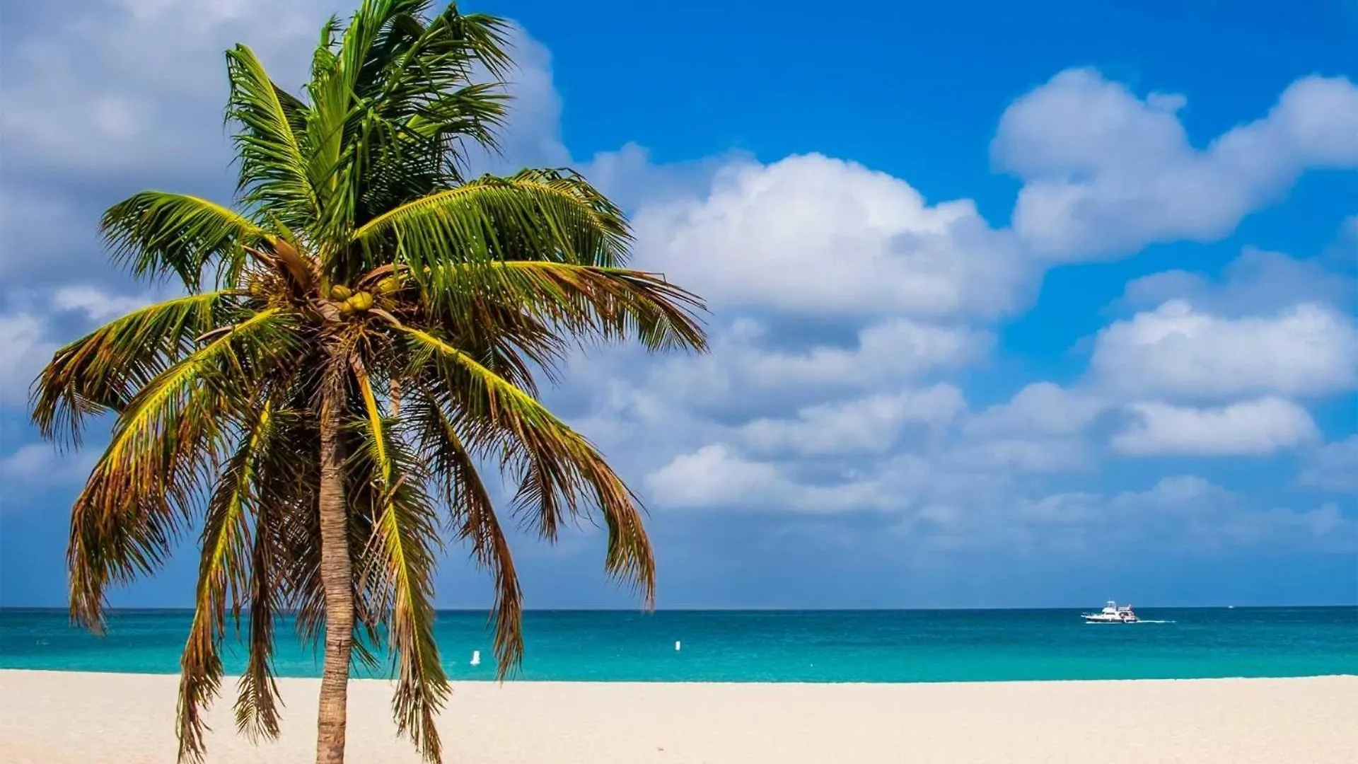 Hébergement de vacances Beachfront - Eagle Beach - Sapphire 2Br Condo E322 Palm Beach Aruba